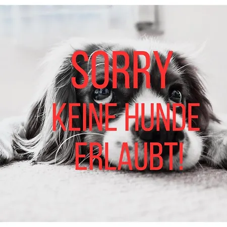 Hotel Hotel-pension Melcher 3*