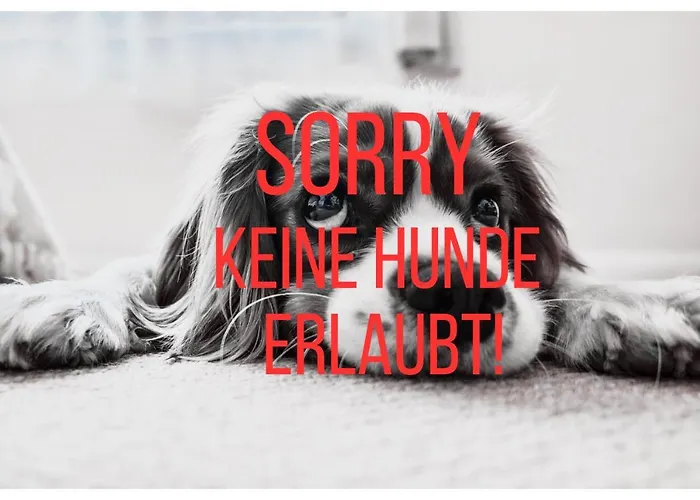 Hotel Hotel-pension Melcher 3*